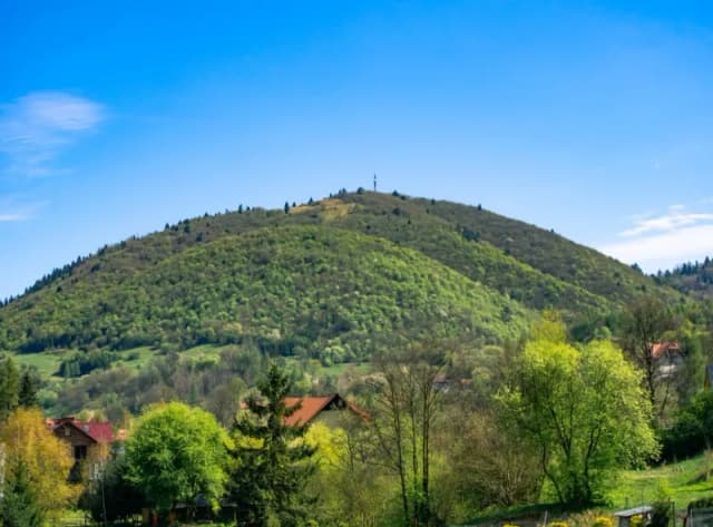 Szczawnica jakie góry – odkryj najpiękniejsze szczyty i trasy Szczawnica jakie góry – odkryj najpiękniejsze szczyty i trasy