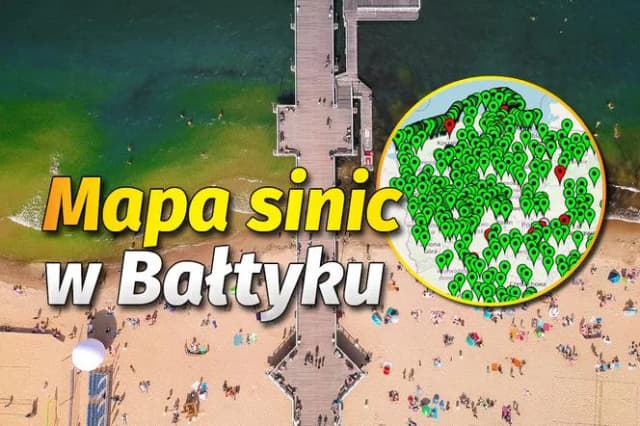 Gdzie sinice nad morzem? Sprawdź, gdzie nie można się kąpać Gdzie sinice nad morzem? Sprawdź, gdzie nie można się kąpać